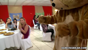 ¡prepárate Para Bailar Toda La Noche Con El Legendario Dancing Bear!