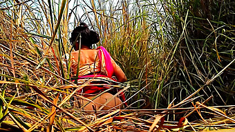 Hd Video Of A Hot Indian Housewife Getting Wild In The Field