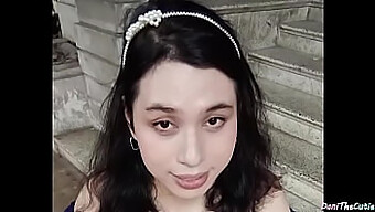 美丽的变性人danithecutie在公共厕所展示她的大罐子和圆润的屁股。